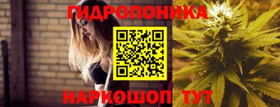 бошки Будённовск