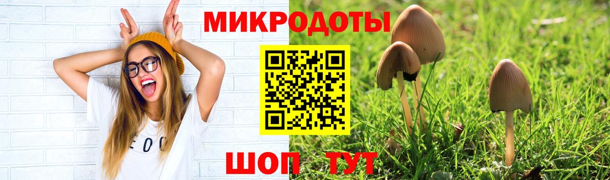Луга  где продают наркотики  Вход с VPN  Псилоцибиновые грибы GOLDEN TEACHER 